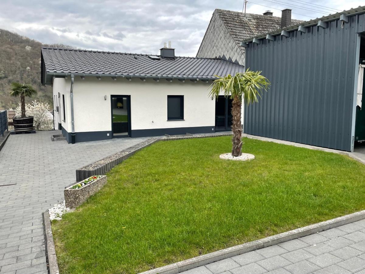 Ferienwohnung " Wein Unter Palmen " Neumagen-Dhron Kültér fotó