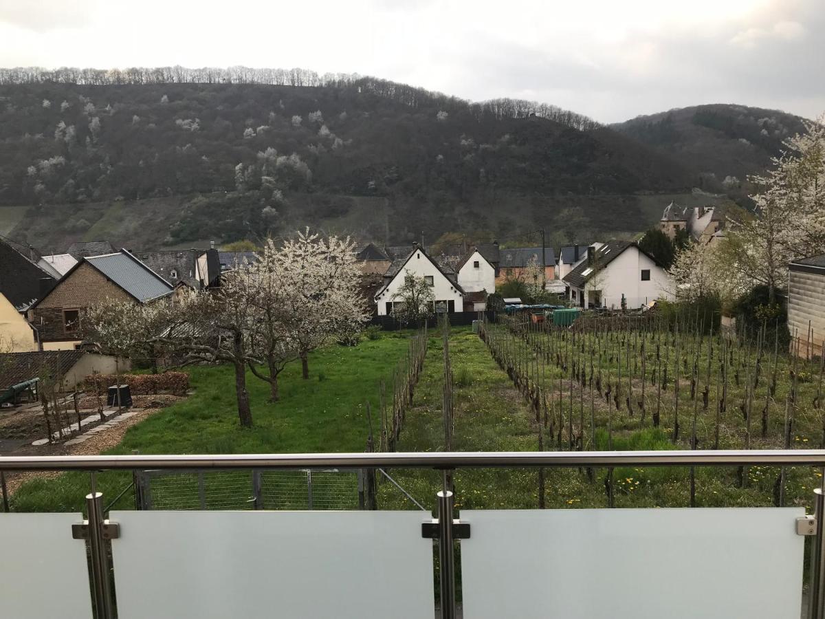 Ferienwohnung " Wein Unter Palmen " Neumagen-Dhron Kültér fotó