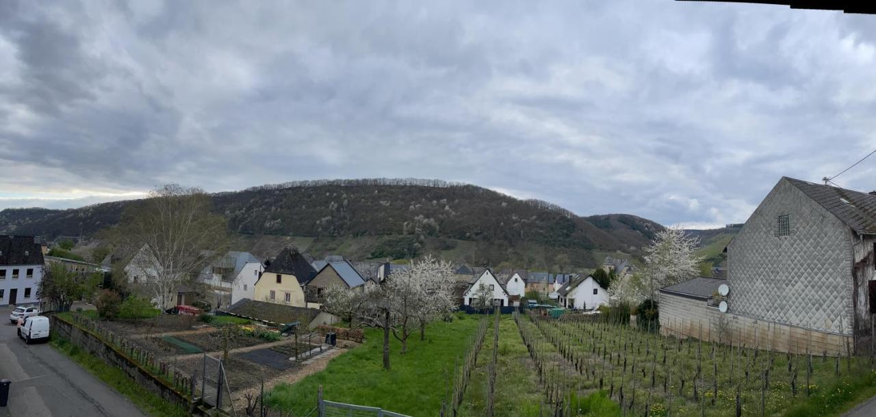 Ferienwohnung " Wein Unter Palmen " Neumagen-Dhron Kültér fotó