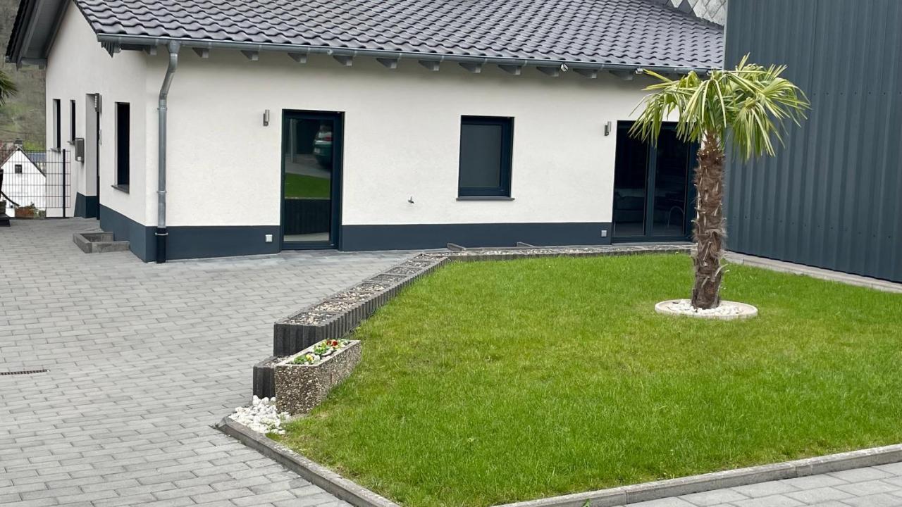 Ferienwohnung " Wein Unter Palmen " Neumagen-Dhron Kültér fotó